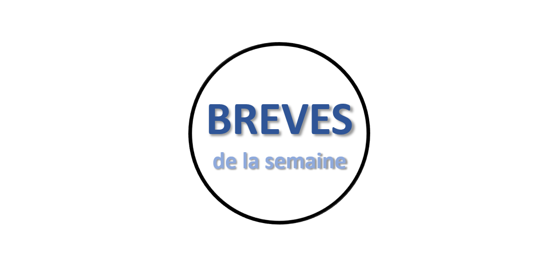 Les Brèves de la semaine (35)